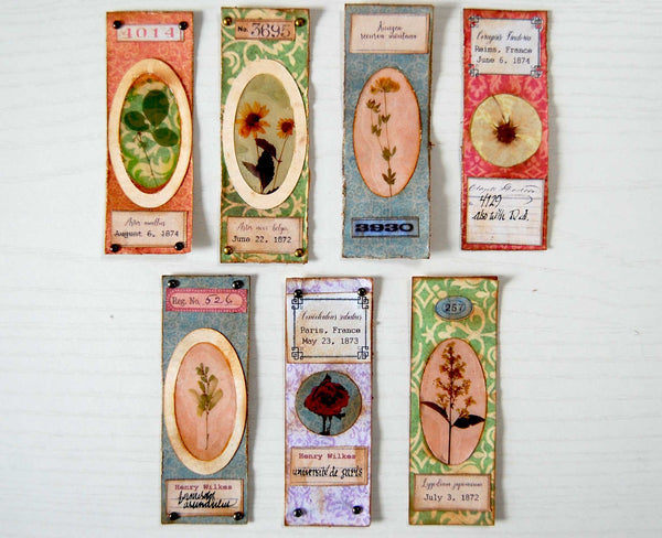 Digital Papers - Vintage Botany Slides