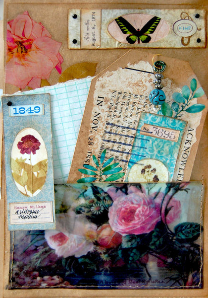 Digital Papers - Vintage Botany Slides