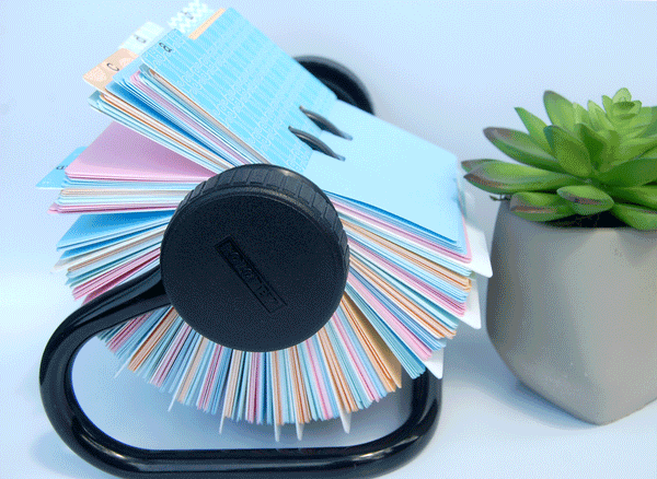 A colorful Rolodex filled with pastel colored Rolodex cards and dividers.  The Rolodex is shown from the side and is next to a succulent plant.