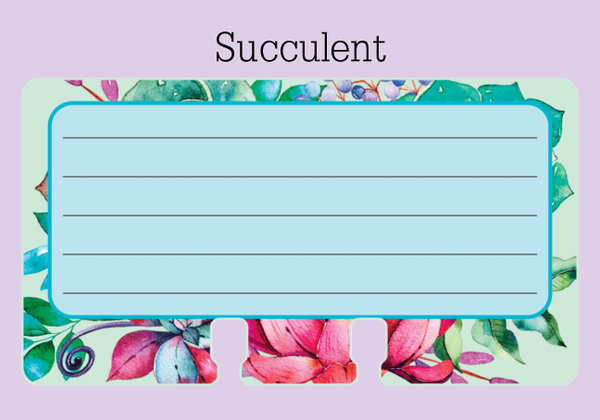 A ruled Rolodex refill card  on a purple background with the word "Succulent" above it. The card is pale blue in the center with 5 gray lines for writing. The outer edge is a floral print in mint, green, pink, purple and blue.