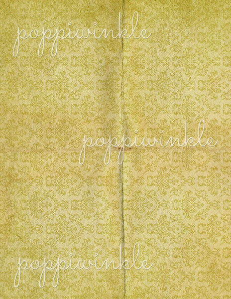 Digital Papers - Vintage Botany Slides