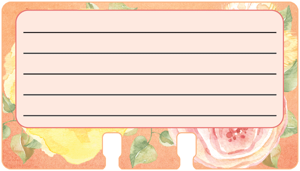 Pink and yellow floral Rolodex lined cards