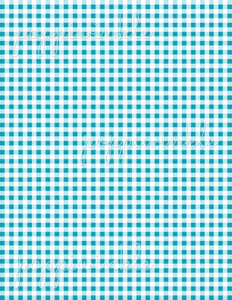A gingham, checkered print in blue and white.