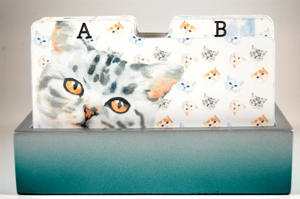 A white rolodex divider the the letter "A". The background print is a pattern of 4 cat faces. There is a large gray tabby cat face on the left side.