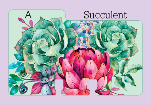 A heavy duty Rolodex Divider in a pretty succulent print. The mint green background is covered in watercolor floral succulents in pink and green with a touch of blue and purple. The divider is on a pale purple background with the word "Succulent."